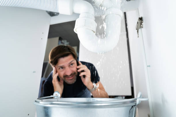 Best Plumbing Services Near Me  in Assumption, IL